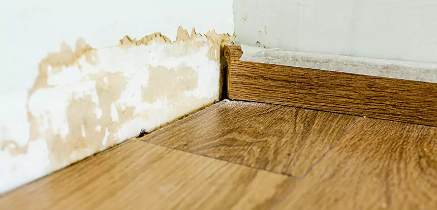 Professional Fix Water Damaged Wood Services in Resaca, GA